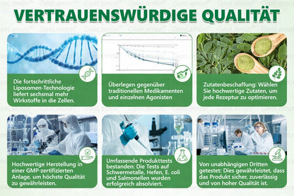 Gee𝐋𝐞𝐦on® Moringa · Berberin × NAD+ 10-in-1 Fortschrittliches Nano-Mikronadel-Pflaster⭐⭐⭐⭐